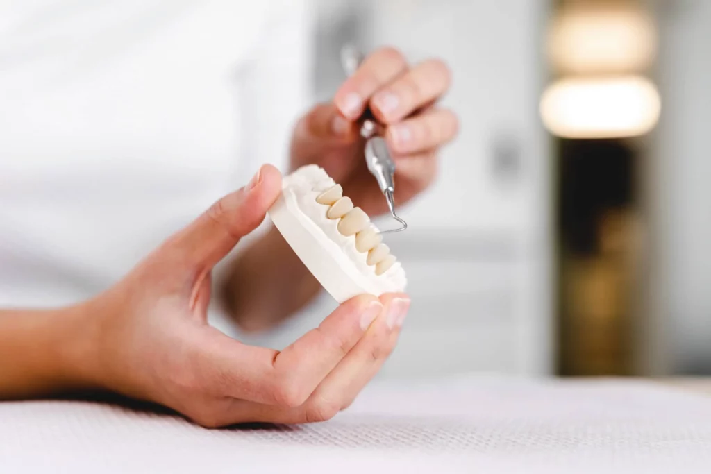 Zahnarzt hält Zahnprothese bei zahnärztlicher Behandlung