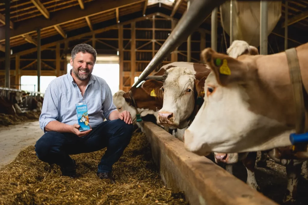 Mann im Kuhstall, präsentiert Milchverpackung in einer Scheune